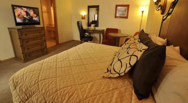 Одноместный номер Standard Business Hotel & Suites María Bonita