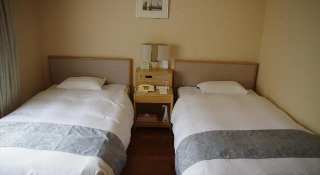 Двухместный номер Standard Gifu Castle Inn