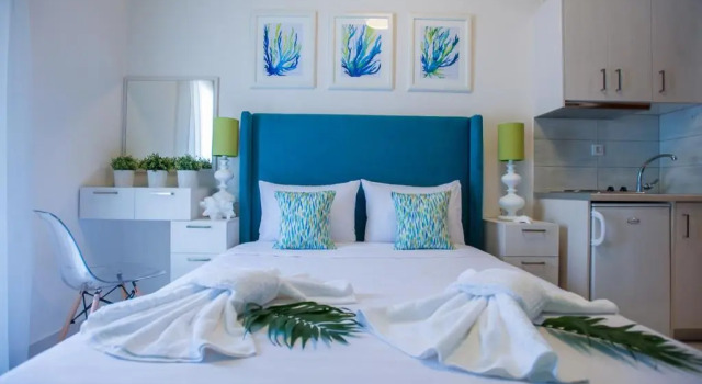 Двухместный номер Standard Mansion House Parga