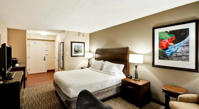Двухместный номер Mobility Accessible with Bathtub Hilton Garden Inn Tampa North