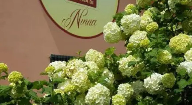 La Casa di Ninna Affittacamere, Reserva ahora Hotel Ariano Irpino 