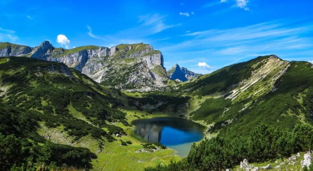 Апартаменты Ferienwohnung Waldblick