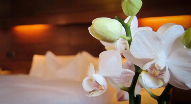 Номер Standard Pension Christophorus Hotel Garni