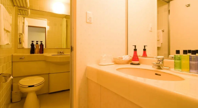 Двухместный номер Standard с балконом Hotel Windsor