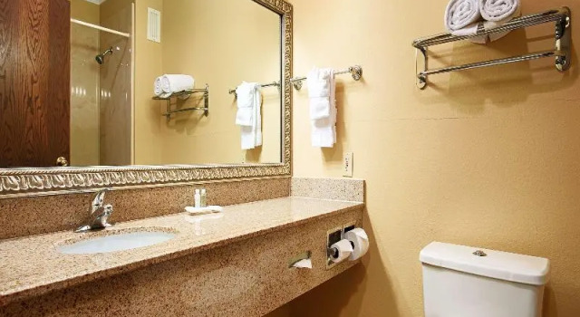 Люкс Best Western Plus Southpark Inn & Suites