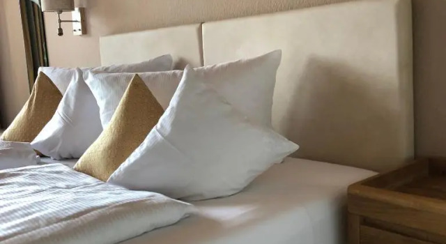 Номер Standard Hotel Berghof