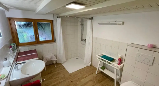 Номер Standard Room-double Room Linden Blossom