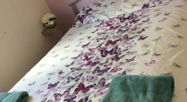 19 Chalet Bucklands , Bideford Holiday Park, Забронировать Шале Отели Англии с бассейном, Бассейн