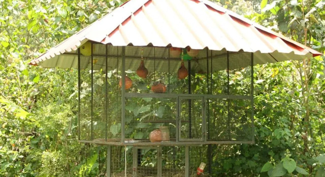 Tea Route Homestay, Забронировать Отель Колагаппара штат Керала