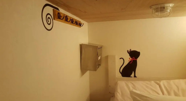 Кровать в общем номере (женский номер) Shinjuku Sky hostel