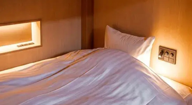 Двухместный номер Standard Forest Spa Resort Hokkaido Hotel