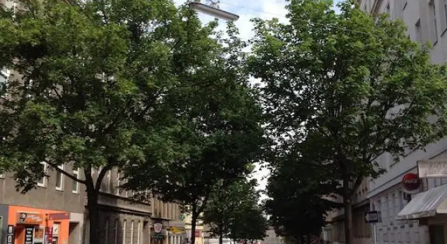 Studio Schröttergasse