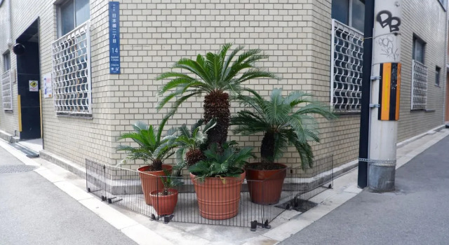 Ryota's Room, Забронировать Отель Тюо Осака, рядом с Намба