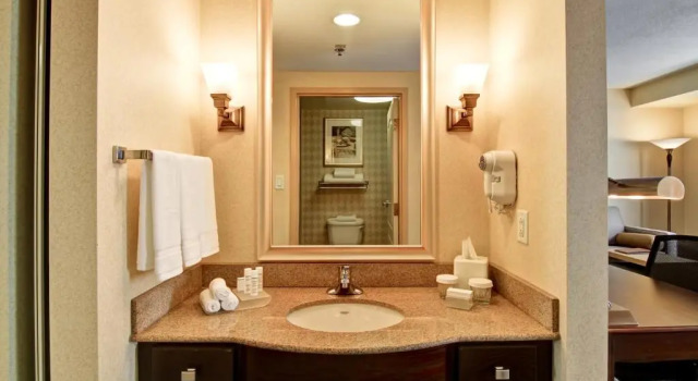 Люкс Homewood Suites by Hilton Toronto Mississauga