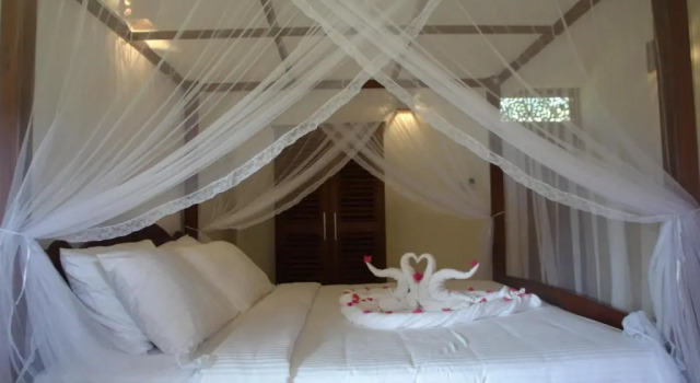 Двухместный номер Deluxe с балконом и с красивым видом из окна Hasara Resort