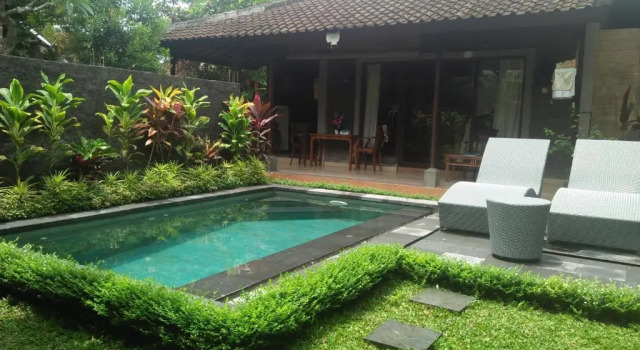 Номер Standard Dedik House