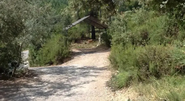 Le Petit Forage, 预订 酒店 Correns Green Provence