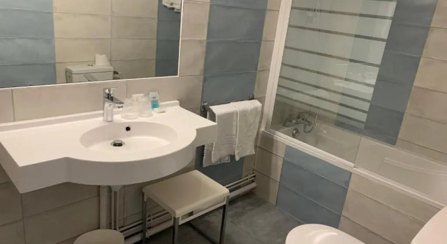 Двухместный номер Standard Hôtel du Lion