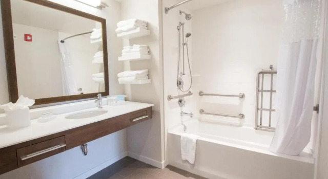 Люкс Hampton Inn & Suites Braselton
