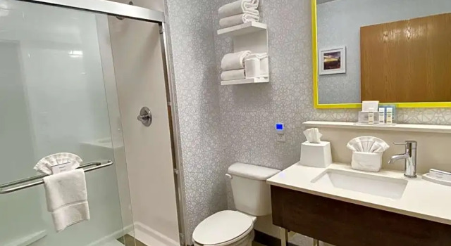 Четырёхместный номер Deluxe Hampton Inn & Suites Phoenix-Goodyear