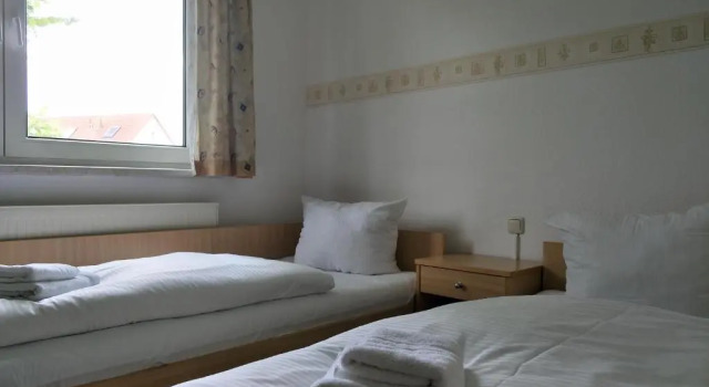 Двухместный номер Standard Hotel Zum Grünen Tor