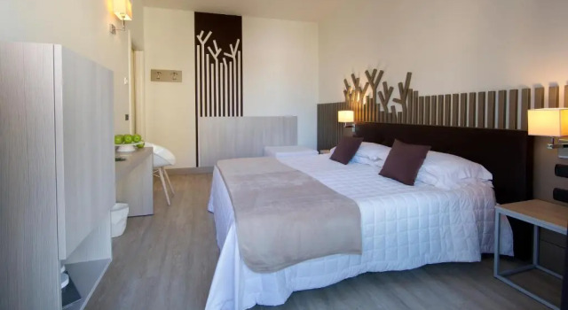 Двухместный номер Business Hotel Desenzano
