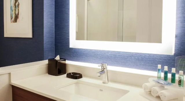 Номер Standard Holiday Inn Express & Suites Downtown Louisville by IHG