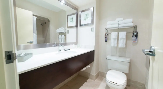 Двухместный люкс Holiday Inn Windsor - Ambassador Bridge by IHG