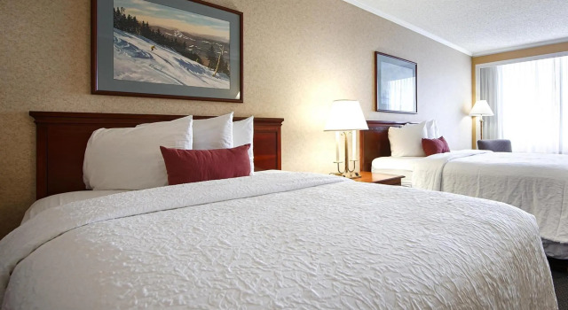Четырёхместный номер Standard SureStay Plus Hotel by Best Western Lehigh Valley