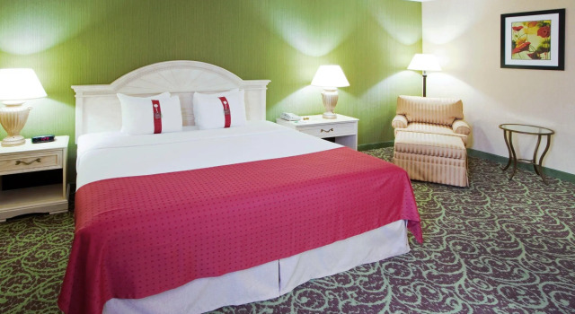 Двухместный номер Standard Holiday Inn Chantilly - Dulles Arpt Area by IHG
