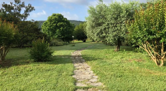 Agriturismo Santa Lorica, Book Hotel Sassetta Etruscan Coast