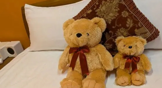 Люкс PianoPiano B&B