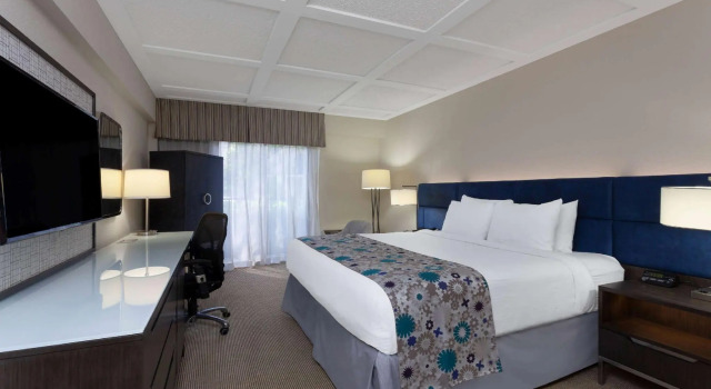 Номер Standard Wyndham Boca Raton Hotel