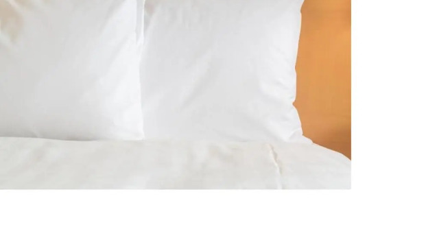 Номер Standard Holiday Inn Express Hotel & Suites New Tampa I-75 by IHG
