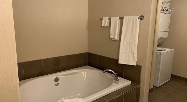 Апартаменты Executive Woodlands Inn & Suites