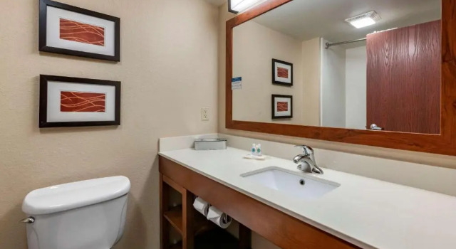 Номер Standard Comfort Inn & Suites Orlando North