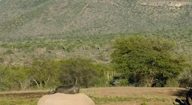 Samara Karoo Lodge, Reservar Apartamento Petersburg Graaff-Reinet