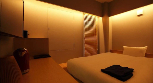 Одноместный номер Standard HOTEL AMANEK Ginza East