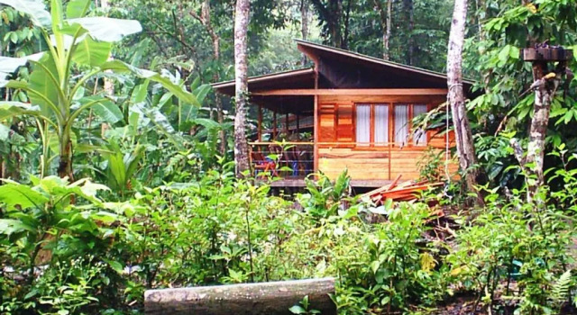 Номер Standard El Tucan Jungle Lodge