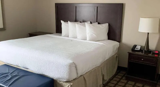 Четырёхместный люкс Best Western North Bryant Inn