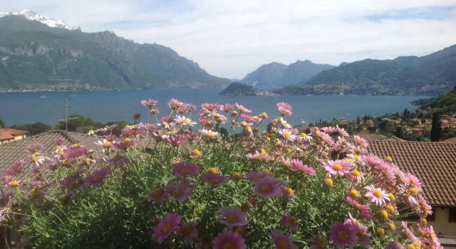 B&B By Lussy - Camera Verde, Prenota Bed & breakfast Menaggio Como
