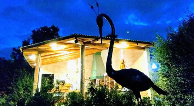 Tierra Mandarina Cabañas, Réserver Hôtel Gualeguaychú Entre Ríos
