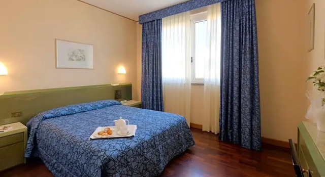 Standard cameră Hotel Royal