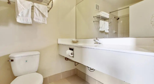 Двухместный номер Economy Rotex Western Inn