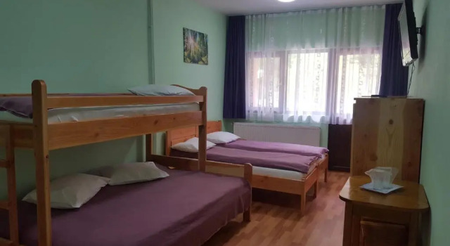 Семейный номер Standard с балконом Pensiunea Aurora - Great hostel Voineasa