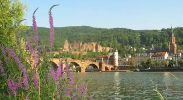 Apartments & Hotel Kurpfalzhof, Забронировать Апартаменты/квартира Апартаменты Бергштрасе, Апартаменты/квартира