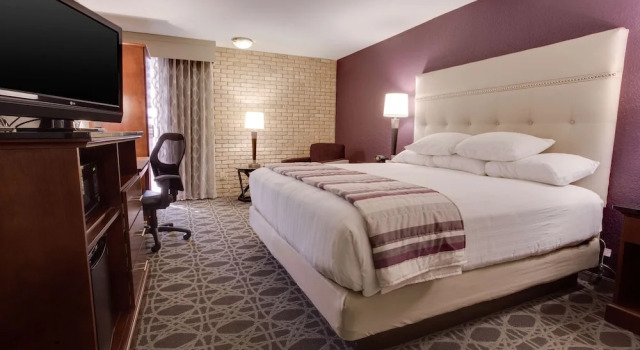 Номер Standard Drury Plaza Hotel San Antonio Airport