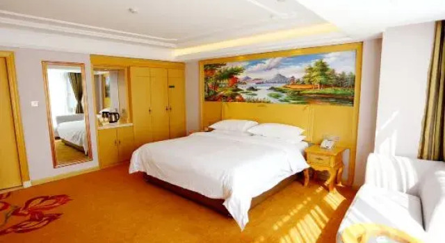 Люкс Deluxe Venus International Hotel Heilongjiang Qiqihar Longhua Road Middle Ring Dashan New Market