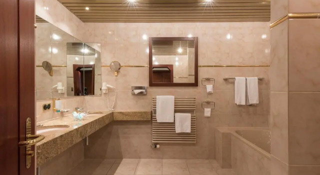 Двухместный номер Standard с видом на озеро Bad Horn - Hotel & Spa