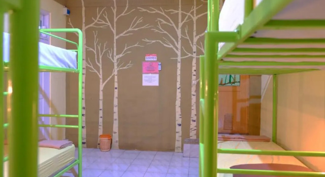 Кровать в общем номере (женский номер) Bunk Bed and Breakfast